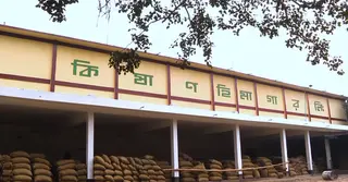 লোডশেডিংয়ে ব্যাহত হচ্ছে হিমাগারের সংরক্ষণ প্রক্রিয়া, ঝুঁকিতে হাজার কোটি টাকার কৃষিপণ্য
